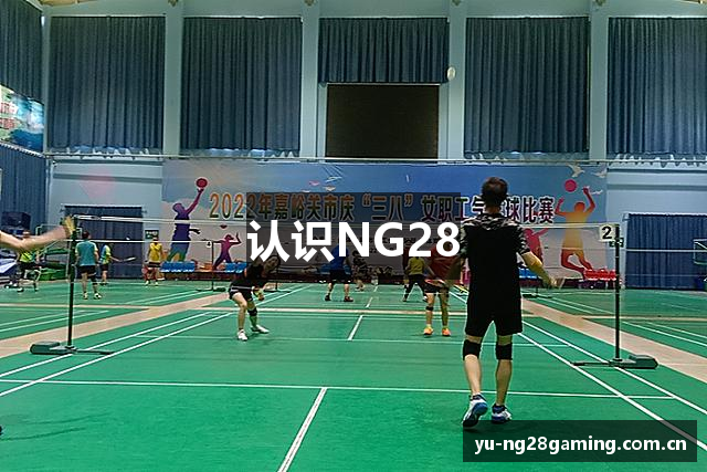 认识NG28